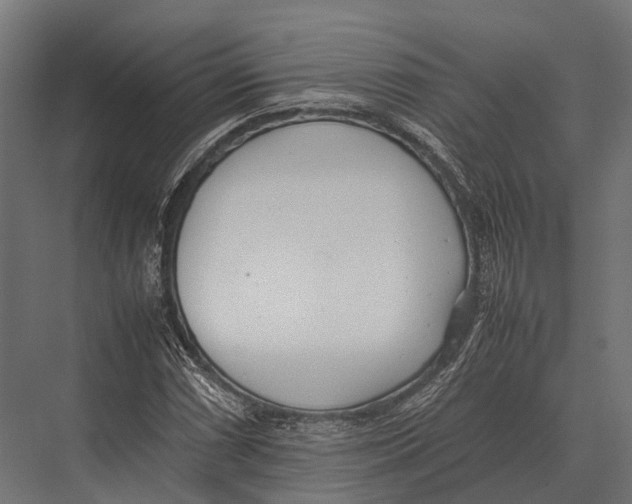 X0000075331066200610061622