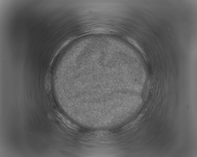 X0000075331067200610061622