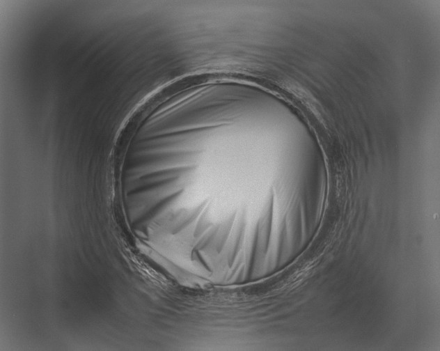X0000075331069200610061622
