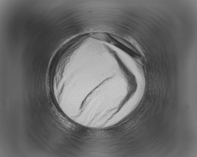 X0000075331072200610061622