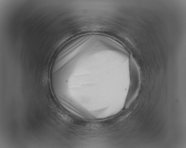 X0000075331073200610061622