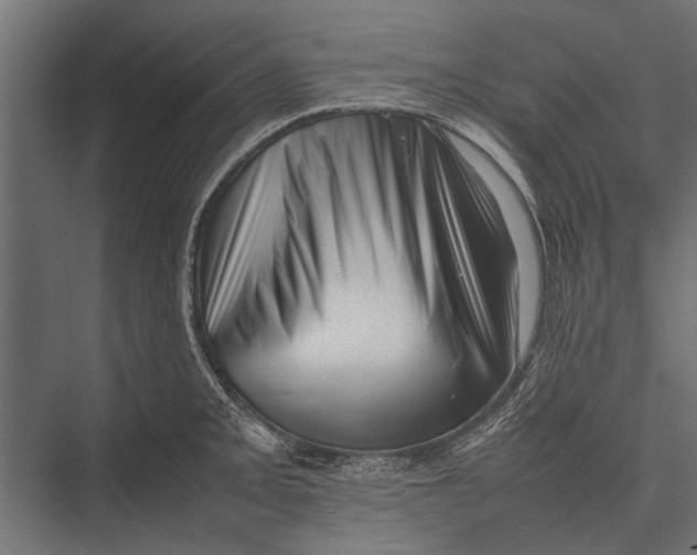 X0000075331093200610061622