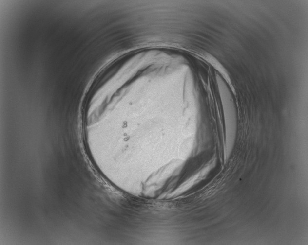 X0000075331096200610061622