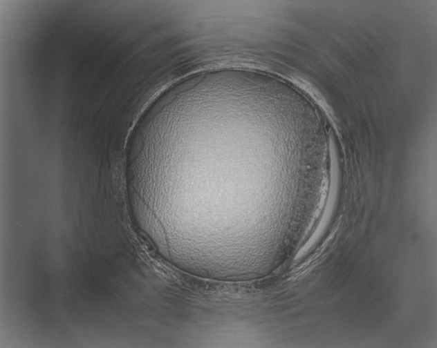 X0000075331097200610061622