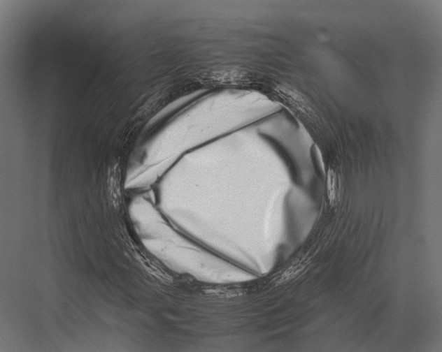 X0000075331107200610061621