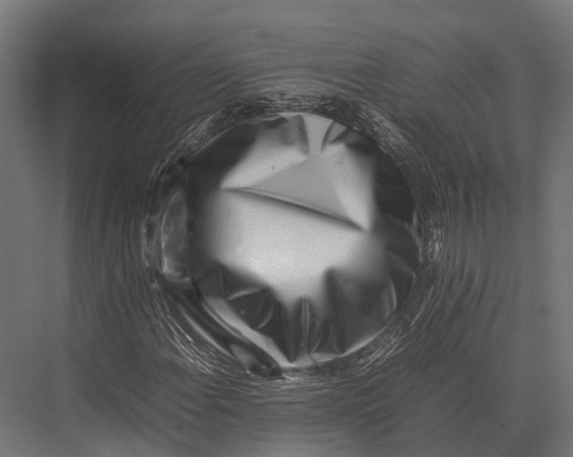 X0000075331108200610061621