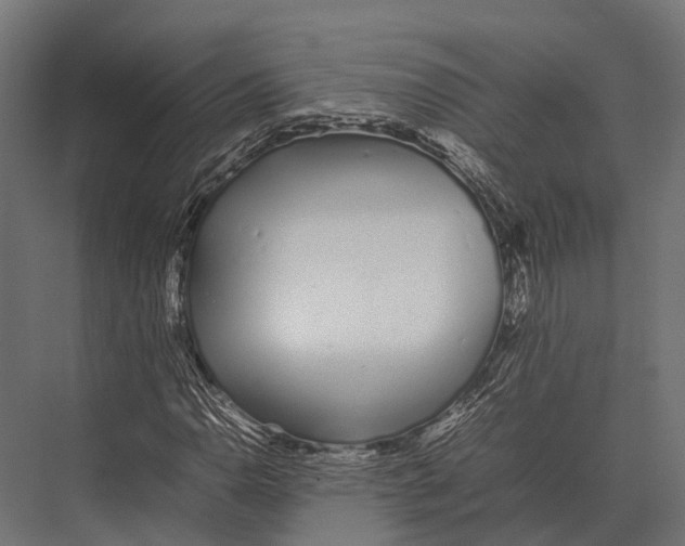 X0000075331110200610061621