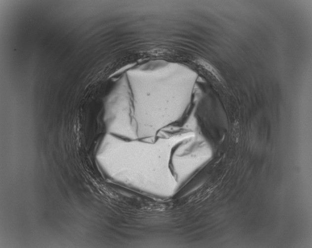 X0000075331111200610061621