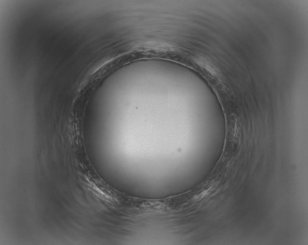 X0000075331112200610061621