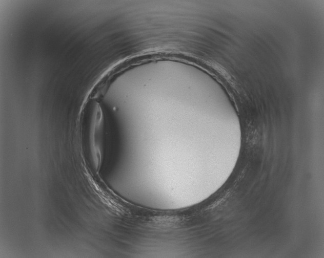 X0000075331118200610061621