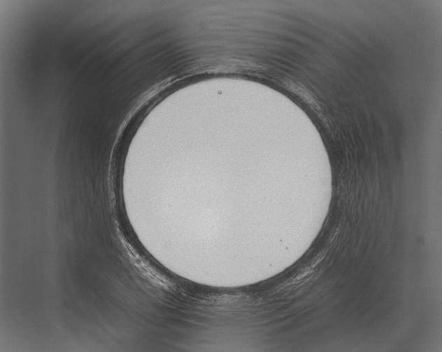 X0000075331122200610061621