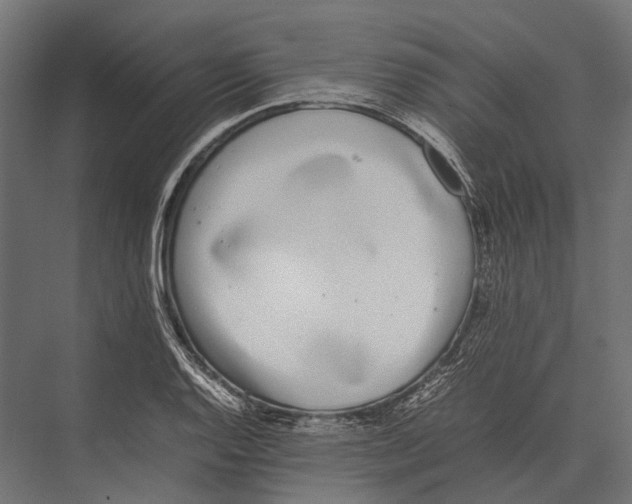 X0000075331128200610061621