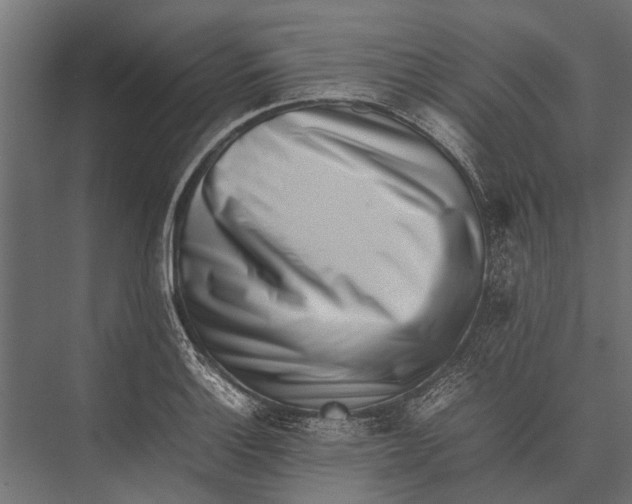X0000075331132200610061621