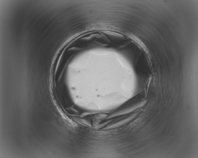 X0000075331144200610061621