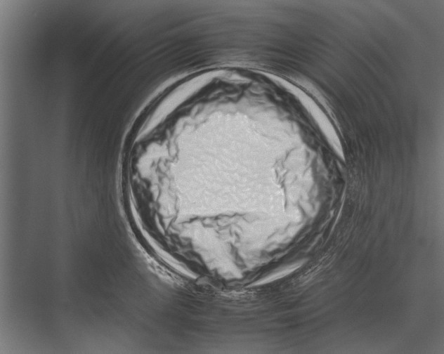 X0000075331147200610061621