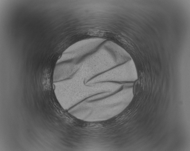 X0000075331154200610061621