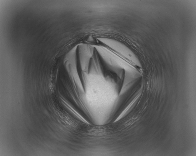 X0000075331156200610061621