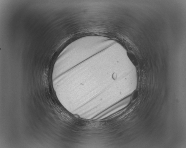 X0000075331162200610061620