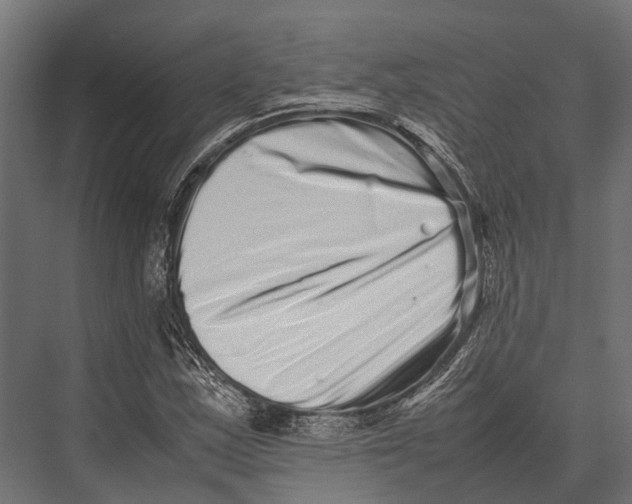 X0000075331163200610061620