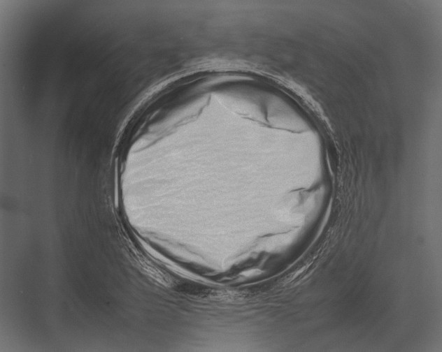 X0000075331175200610061620
