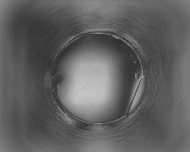 X0000075331177200610061620