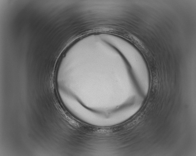 X0000075331178200610061620