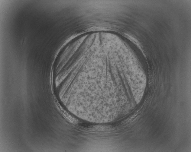 X0000075331179200610061620