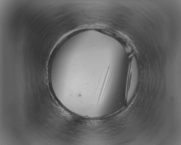 X0000075331184200610061620
