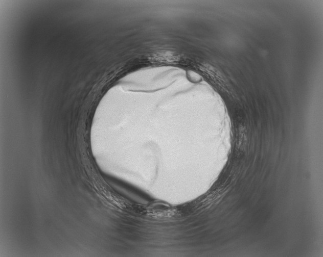 X0000075331201200610061619