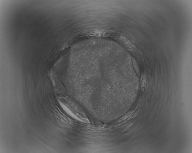 X0000075331202200610061619