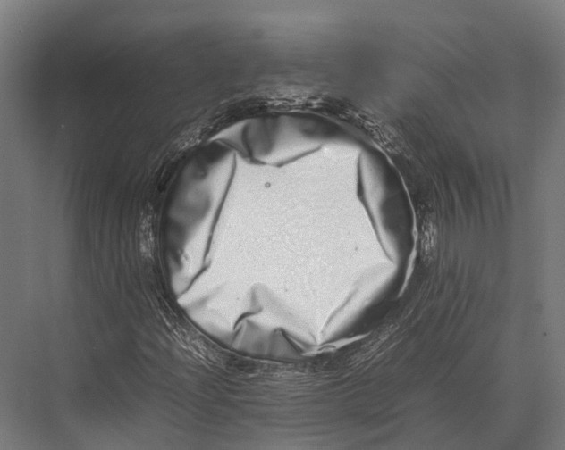X0000075331204200610061619