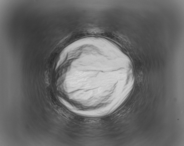 X0000075331205200610061619