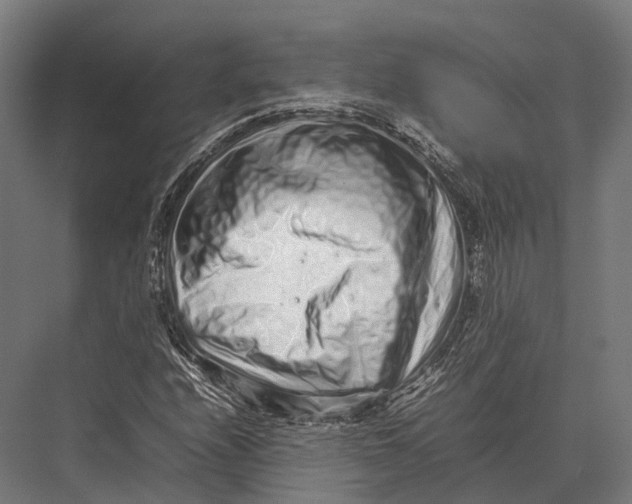 X0000075331208200610061619