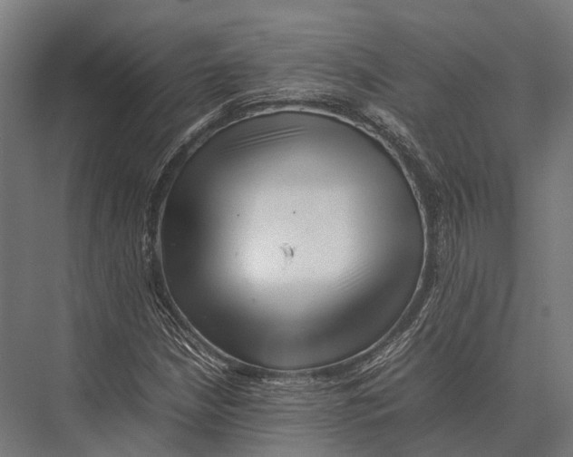 X0000075331210200610061619