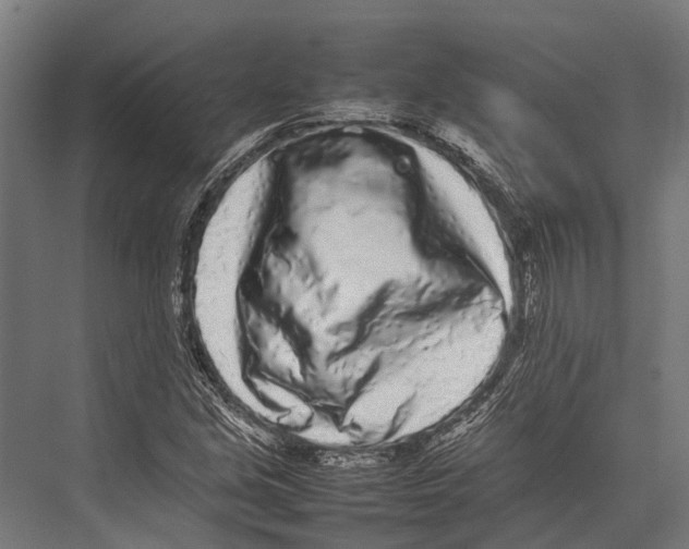 X0000075331213200610061619
