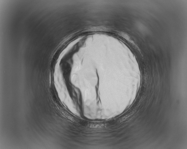 X0000075331221200610061619