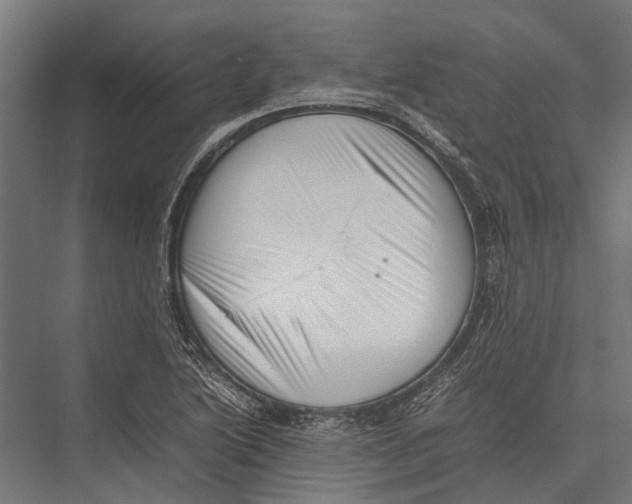 X0000075331222200610061619