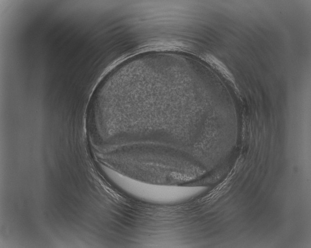 X0000075331226200610061619