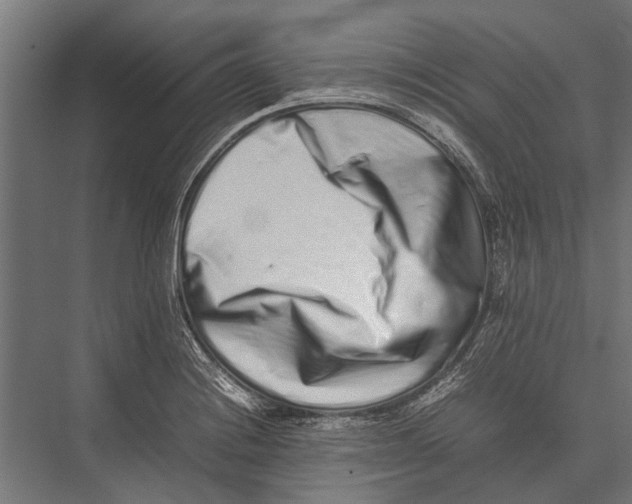 X0000075331228200610061619