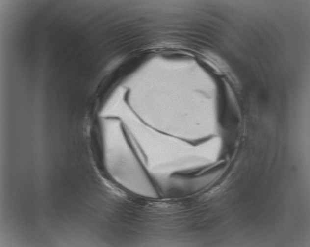 X0000075331241200610061620