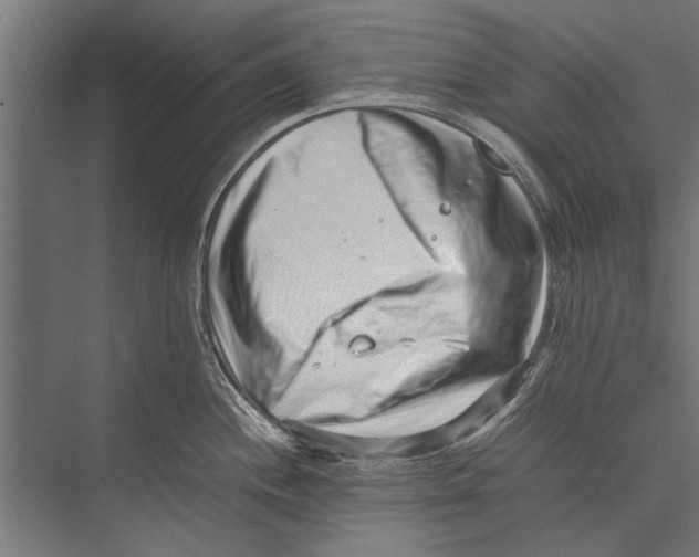 X0000075331244200610061620