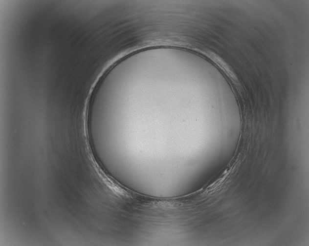 X0000075331246200610061620
