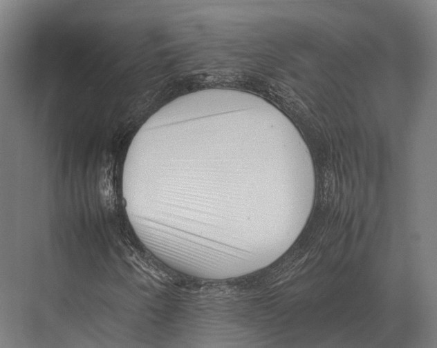 X0000075331250200610061619