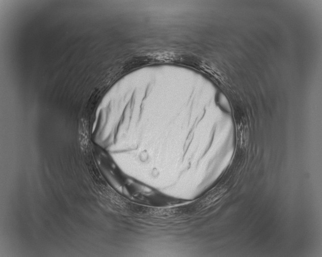 X0000075331251200610061619