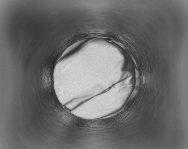X0000075331252200610061619