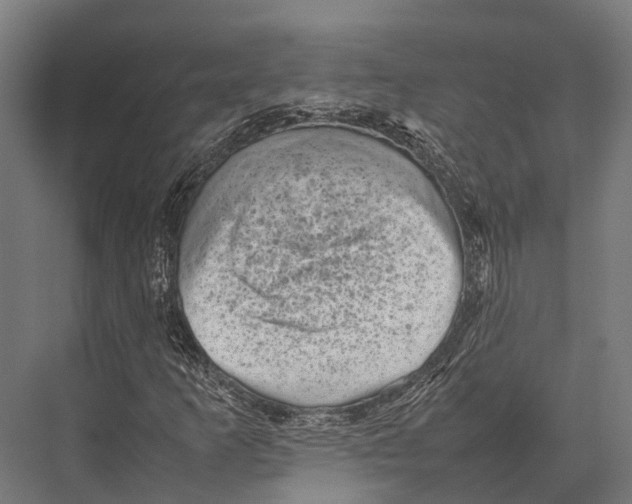 X0000075331253200610061619