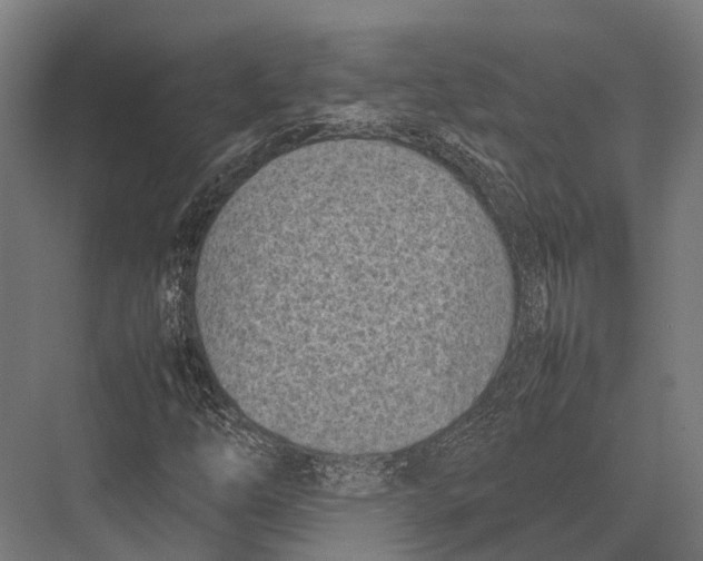 X0000075331254200610061619