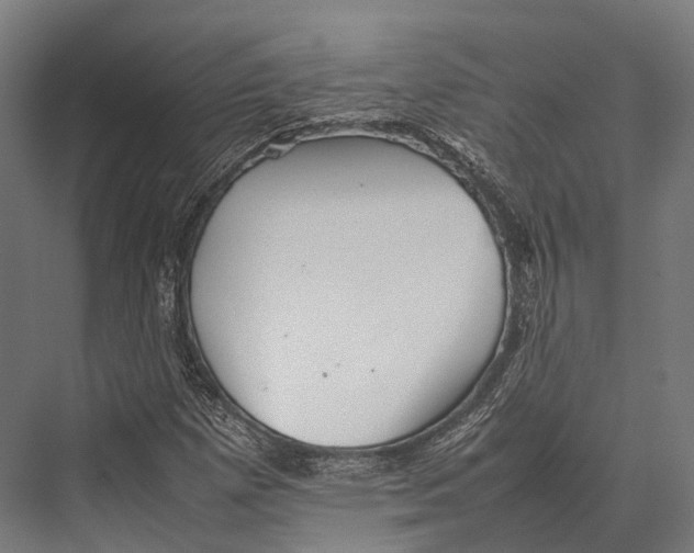 X0000075331257200610061619