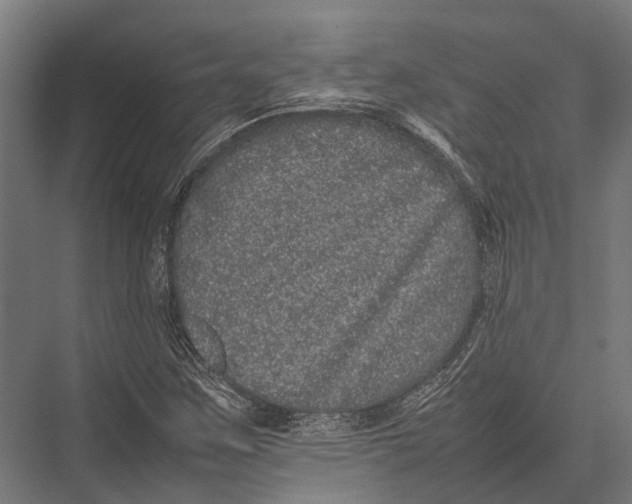 X0000075331259200610061619