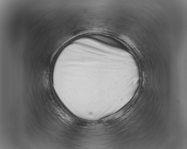 X0000075331260200610061619